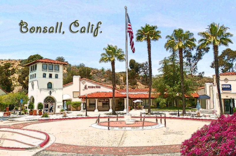 Limo service in Bonsall 92003