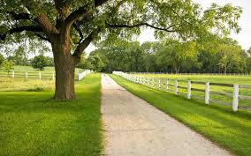 limo service in Olivenhain 92024